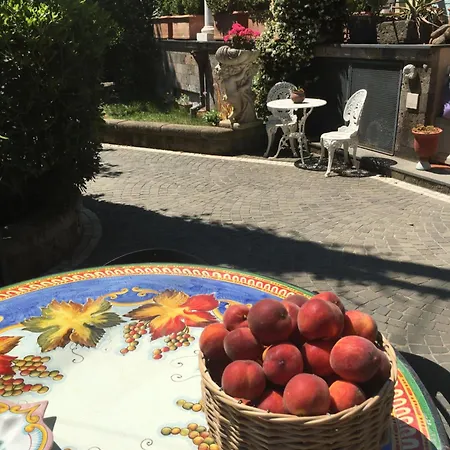 杜玛斯菲丽克斯住宿加早餐旅馆 住宿加早餐酒店 索伦托