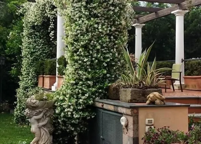 Domus Felix ベッド・アンド・ブレックファスト 3*