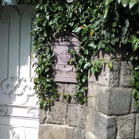 杜玛斯菲丽克斯住宿加早餐旅馆 3*