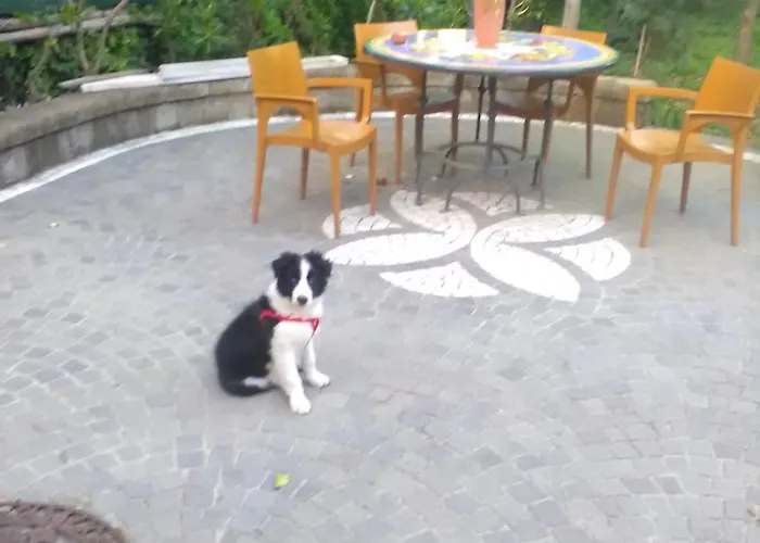 Oda ve Kahvaltı Domus Felix 3*